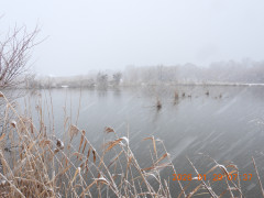 DSCN1846.JPG