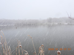 DSCN1847.JPG