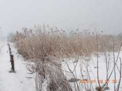 DSCN1849.JPG