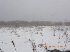 DSCN1850.JPG