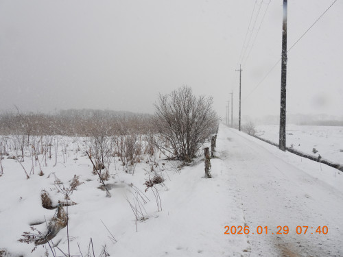 DSCN1851.JPG