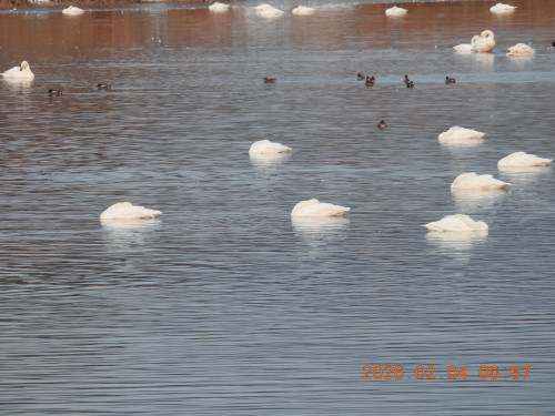 DSCN1973.JPG
