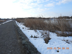 DSCN2028.JPG