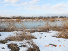 DSCN2029.JPG