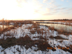DSCN1985.JPG