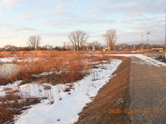 DSCN1986.JPG