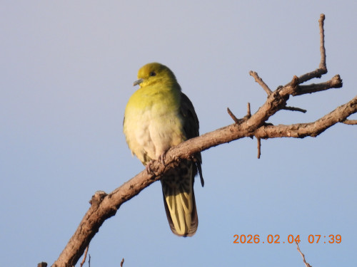DSCN2007.JPG