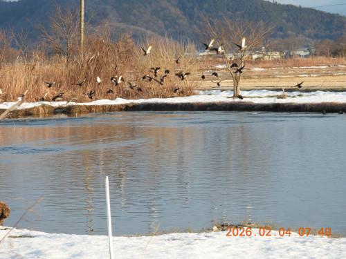 DSCN2014.JPG