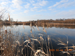 DSCN2019.JPG