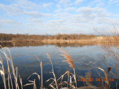 DSCN2020.JPG