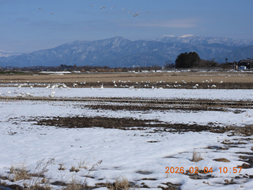 DSCN2044.JPG