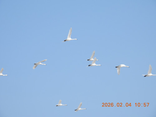 DSCN2045.JPG