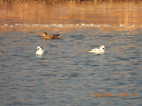 DSCN2070.JPG