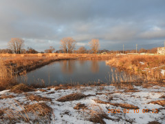 DSCN2074.JPG