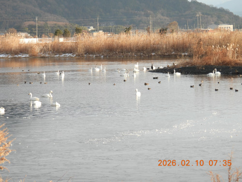 DSCN2086.JPG