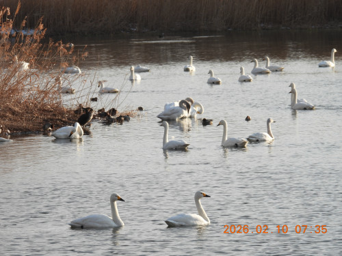 DSCN2087.JPG