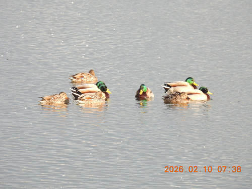 DSCN2089.JPG