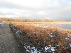 DSCN2091.JPG