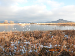 DSCN2092.JPG