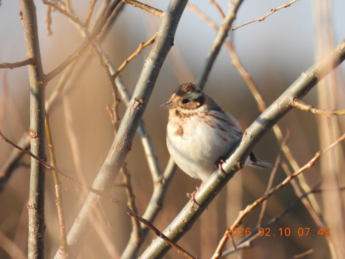 DSCN2097.JPG