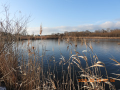 DSCN2102.JPG