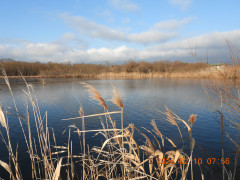 DSCN2103.JPG