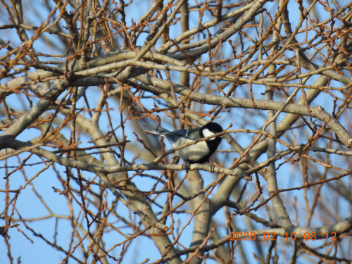 DSCN2109.JPG