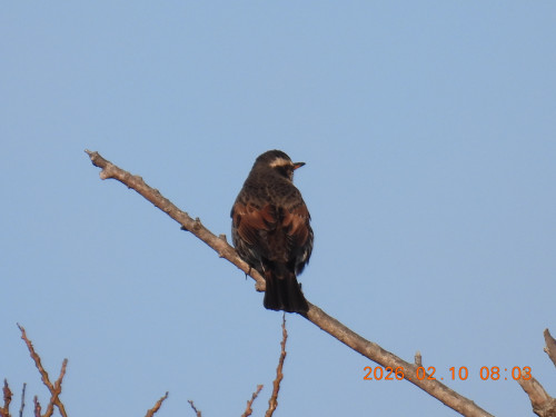 DSCN2106.JPG