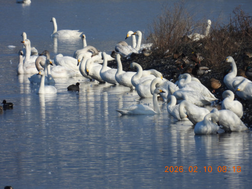DSCN2114.JPG