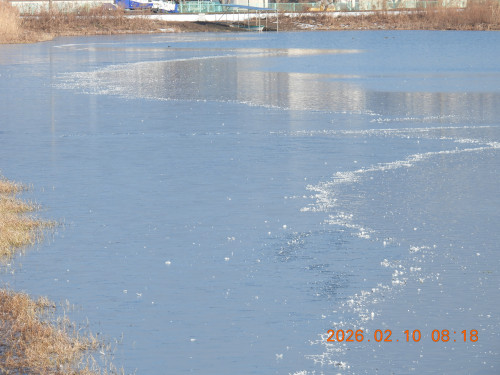 DSCN2116.JPG
