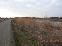 DSCN2148.JPG