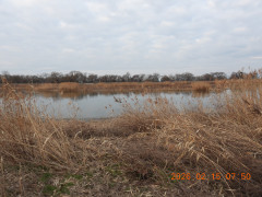 DSCN2149.JPG