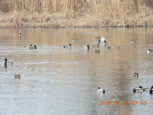DSCN2151.JPG