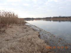 DSCN2152.JPG
