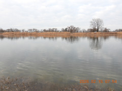 DSCN2153.JPG