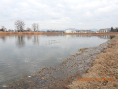 DSCN2154.JPG