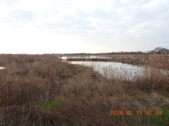 DSCN2162.JPG