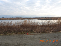 DSCN2172.JPG