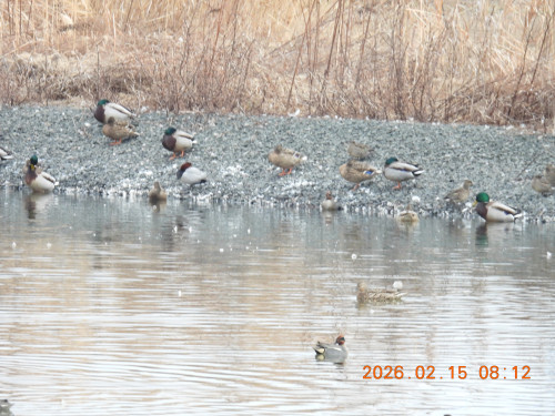 DSCN2176.JPG