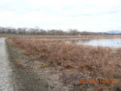DSCN2181.JPG