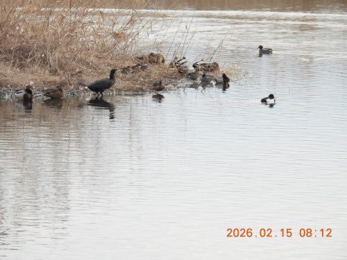 DSCN2177.JPG