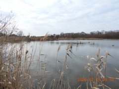 DSCN2186.JPG