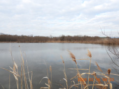 DSCN2187.JPG