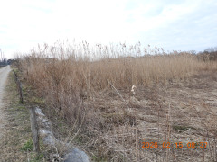 DSCN2193.JPG