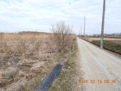 DSCN2195.JPG