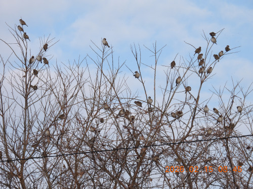 DSCN2201.JPG