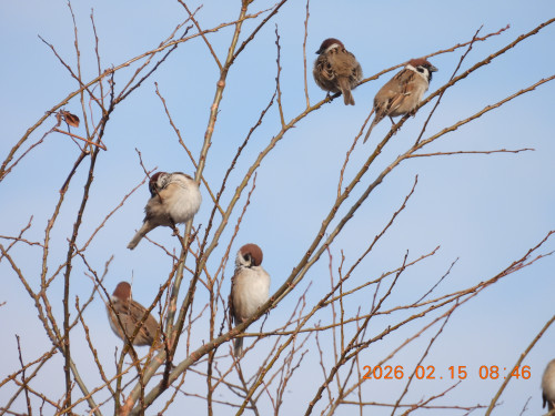 DSCN2202.JPG