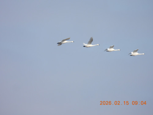 DSCN2207.JPG