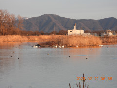 DSCN2217.JPG