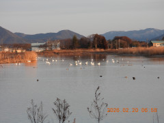DSCN2218.JPG